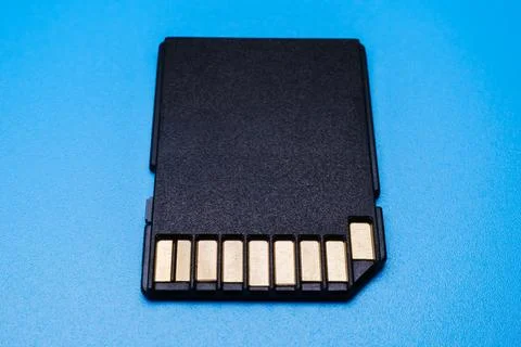 SD Card on Blue Data Storage Electronics Photograph 写真素材