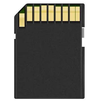 SD card Illustrazione stock