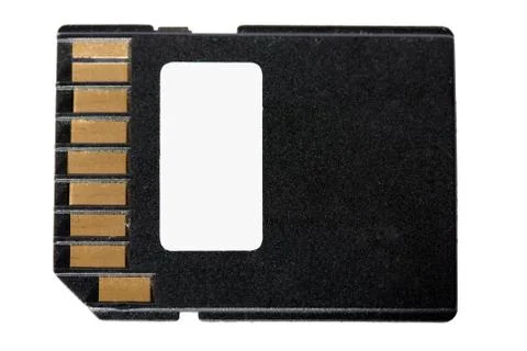 SD memory card Stock Photos