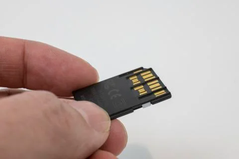 SD memory card Stock Photos