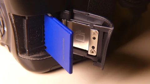 SD memory 스톡 동영상 115012535