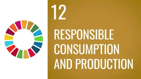 SDGs 12 Responsible consumption animation clip Sustainable Development Goals Stock Footage 167705130