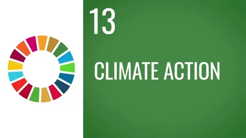 SDGs 13 Climate action animation clip Sustainable Development Goals Stock Footage 167705132