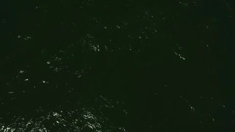 SEA 05 Video stock 306042694