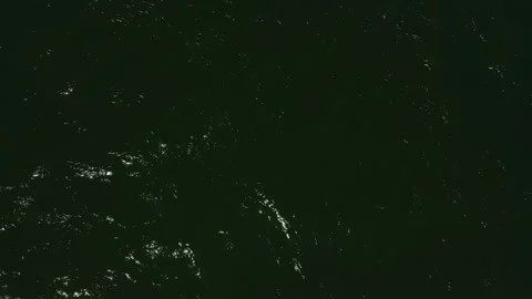 SEA 06 Video stock 306042700