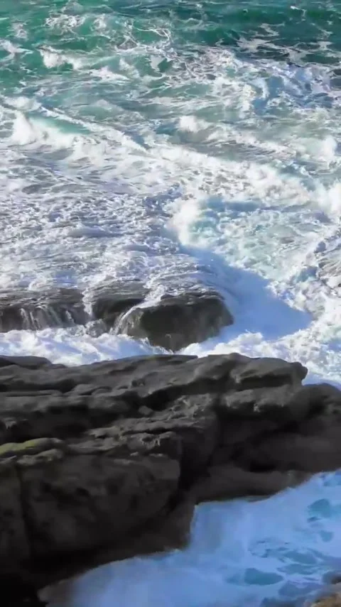 Sea 1 Stock Footage 303390252