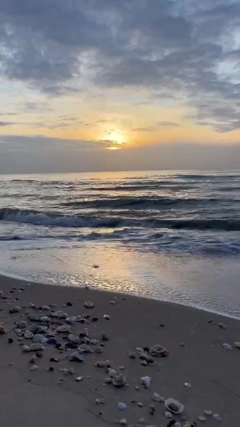 Sea-10 Stock Footage 316283937