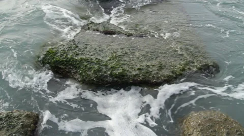 Sea 11 Video stock 1012817