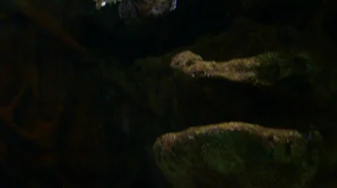 Sea-3 Stock Footage 77733