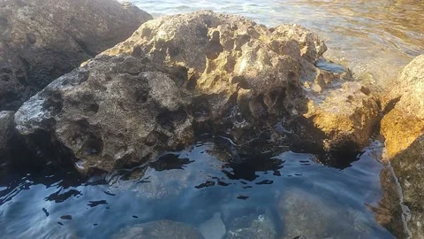 Sea 3 Stock Footage 220626978