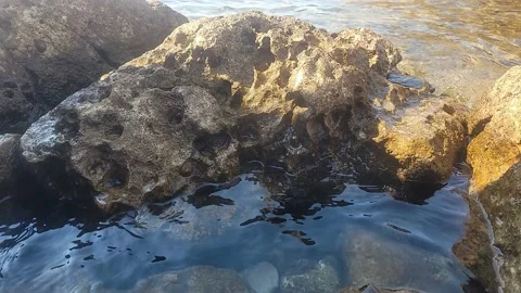 Sea 4 Stock Footage 220627155