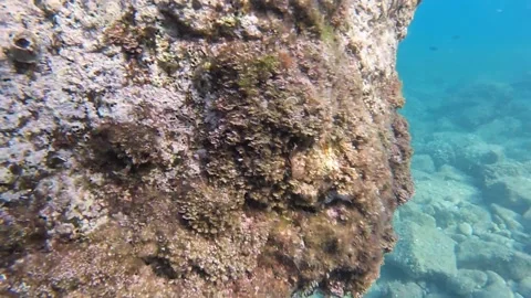 Sea 6 1 Stock Footage 220627199