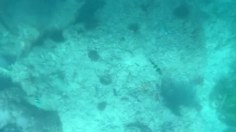 Sea Abstract Background Stock Footage 311353769