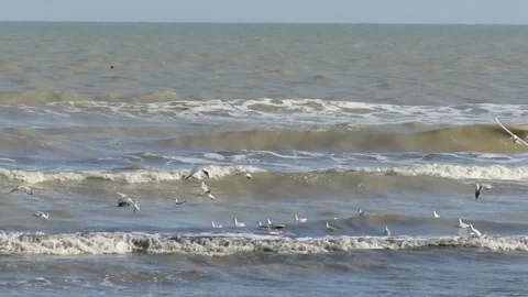 Sea Adriatic in winter Stock Footage 94920485