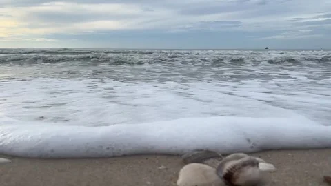 Sea and the beach 02 Stock Footage 313279400