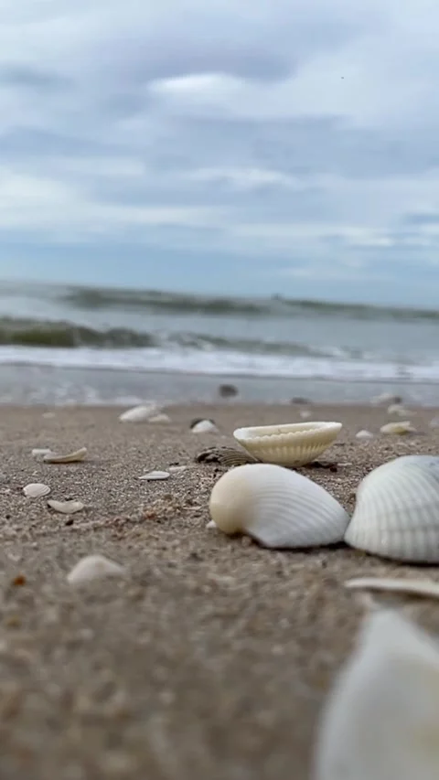 Sea and the beach-4 Stock Footage 313279393