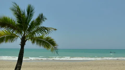 Sea and beach Stock Footage 65203860