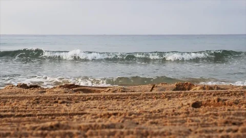 Sea and beach 스톡 동영상 77637306