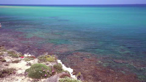 Sea ​​and beach Видео 297120424