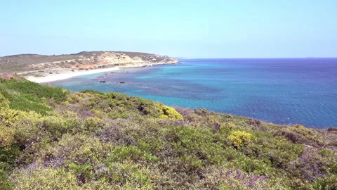 Sea ​​and beach 動画素材 297175101