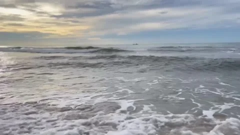 Sea and the beach Stock Footage 313279372