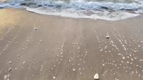 Sea and the beach Stock Footage 316283943