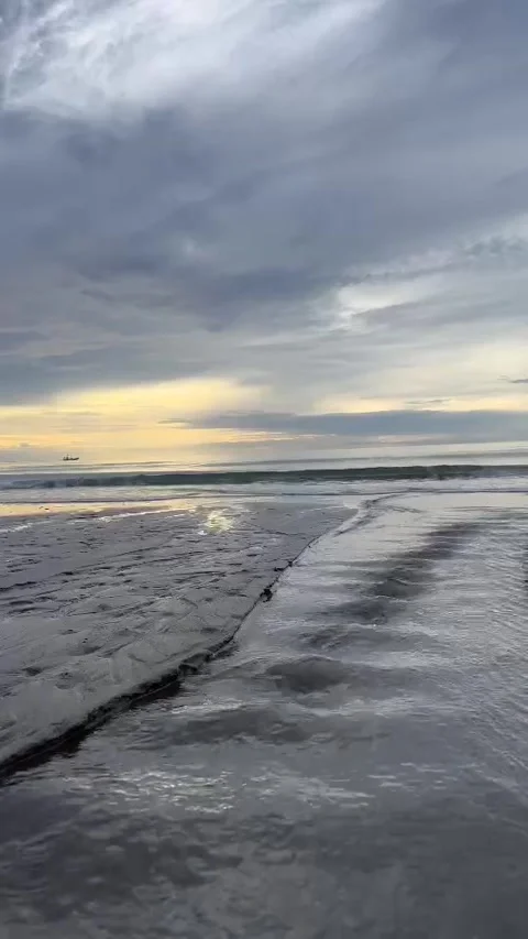 Sea and the beach Stock Footage 316963715