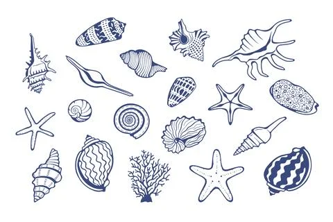Sea and beach shells line icons set. Outline hand drawn seashells collection 스톡 일러스트