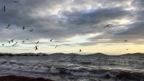 Sea and cloudy sunset Stock Footage 145897924