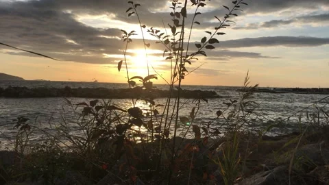 Sea and cloudy sunset Stock Footage 145898491