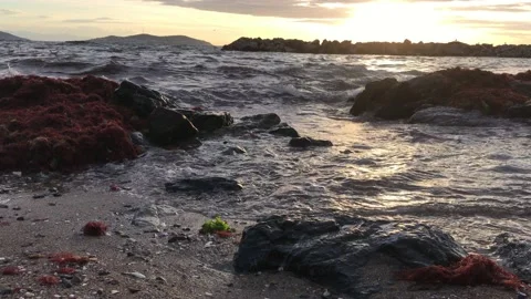 Sea and cloudy sunset Video stock 145899082