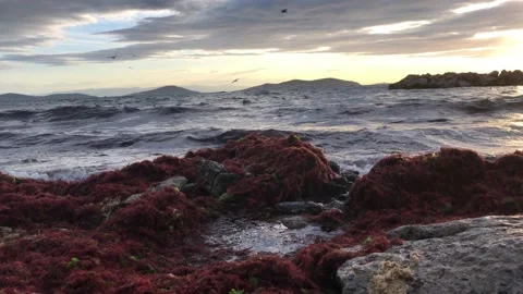 Sea and cloudy sunset Video stock 145899840
