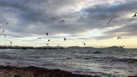 Sea and cloudy sunset Video stock 145900220