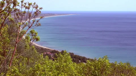 Sea and Forest Stockbeeldmateriaal 296798401