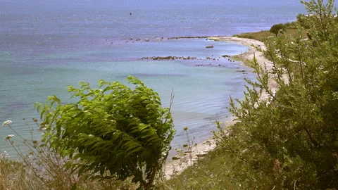 Sea and Forest 動画素材 296798463