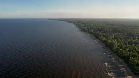 Sea and forest in summer Stock Footage 205064408