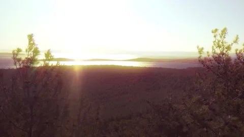 Sea and forest at sunset Stockbeeldmateriaal 260241184