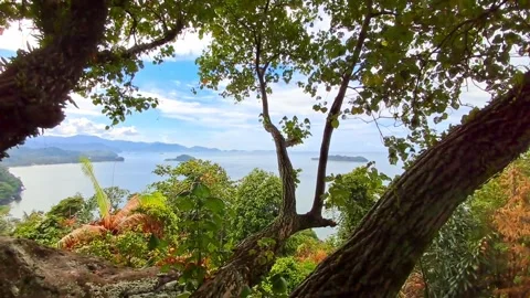 Sea and hills. Stock Footage 329907622