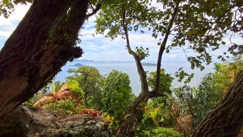 Sea and hills. Stock Footage 329907746