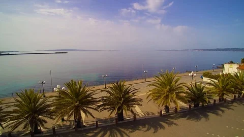 Sea and palm 스톡 동영상 88696700