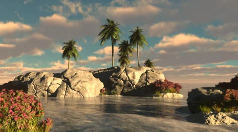 Sea and Palms Stock Footage 36845792