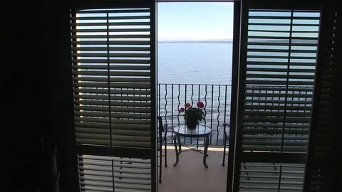 Sea and roses Stock Footage 77011280