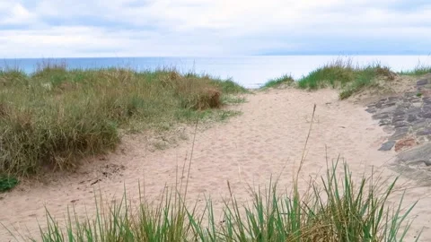 Sea and sand Stock Footage 180648123