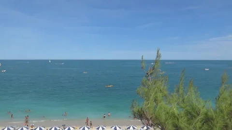 Sea and a tree bark Stock Footage 119124142