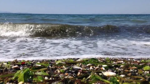 Sea and the waves Stock Footage 83189828
