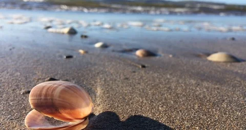 Sea and waves Video stock 86657424