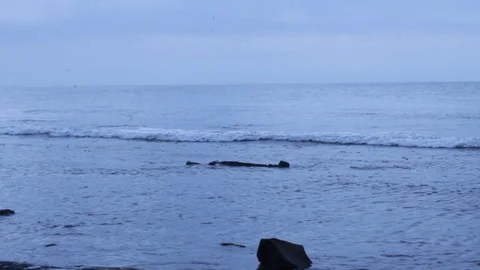 Sea and waves Stock Footage 116252696