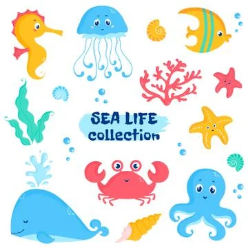 Sea animals and plants elements. Cute vector set. Stock Illustration