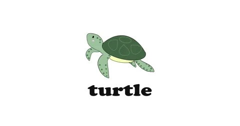 Sea animals study in english, turtle Stock Footage 309187403