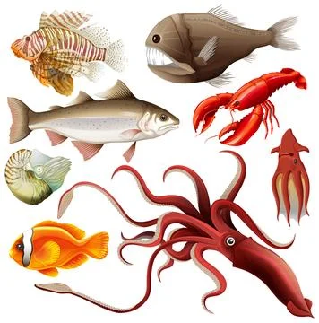Sea Animals Vector Collection Stock Illustration